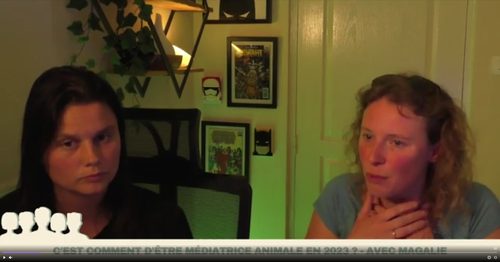 Capture du live interview avec Magalie, médiation par l'animal